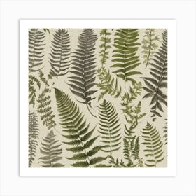 Ferns 2 Art Print