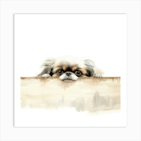 Pekingese Dog Art Print