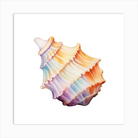 Sea Shell 11 Art Print