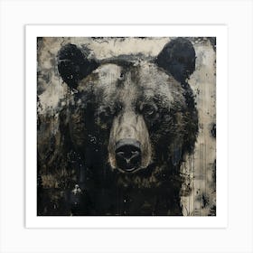 'Black Bear' Art Print