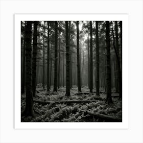 Dark Forest 113 Art Print