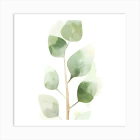 Eucalyptus Tree Art Print