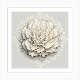 White Peony 1 Art Print