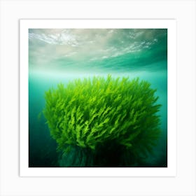 underwater nature Art Print