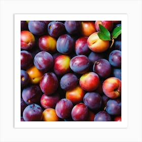 Plums Art Print