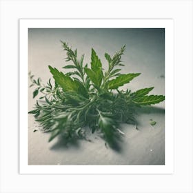 Weed Stock Videos & Royalty-Free Footage Art Print