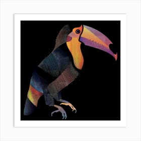 Toucan 14 Art Print