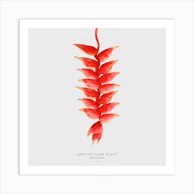 Lobster Claw Plant Off White Square Art Print