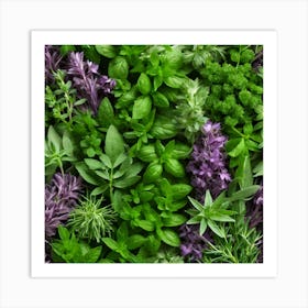 Herbs As A Background (87) Art Print