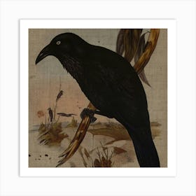 Crow 1 Art Print