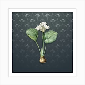 Vintage Cardwell Lily Botanical on Slate Gray Pattern n.0797 Art Print