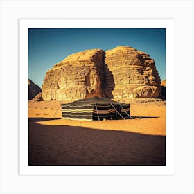 Sinai Life Art Print