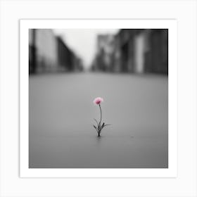 Flower In The Street Art Print