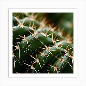 Cactus Art Print