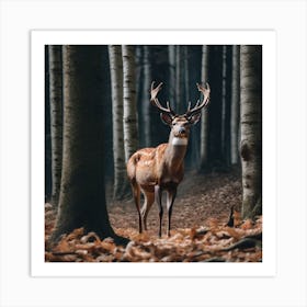 Deer In The Forest 30 Art Print