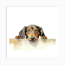 Dachshund 12 Art Print