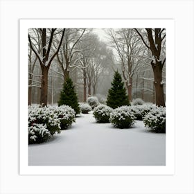 Winter Garden Art Print