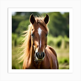 Grass Horse Mammal Animal Head Steady Offspring Beauty Riding Horse Mare Dam Cute Streng (3) Art Print