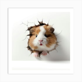 Guinea Pig 26 Art Print