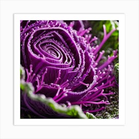 Purple Cabbage 5 Art Print