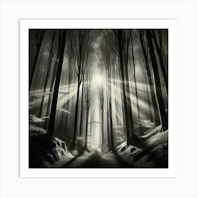 Dark Forest 20 Art Print