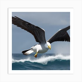 Seagull In Flight Art Print