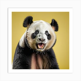 Panda Bear Art Print