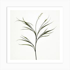 plant minimalist 9 Art Print