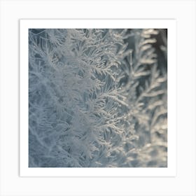 Frosty Branches Art Print