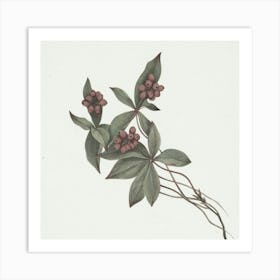 Rhododendron Art Print