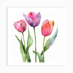 Watercolor Tulips Art Print