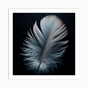 Feather On A Black Background Art Print