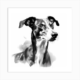 Black and White Greyhound drawing 2 Art Print