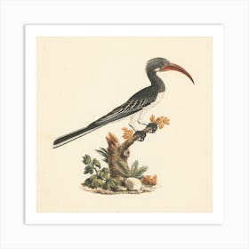 Hemprich S Hornbill Or Crowned Hornbill, Luigi Balugani Art Print