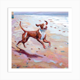 Dog Running On The Beach 1 Art Print