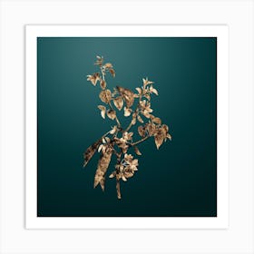 Gold Botanical Judas Tree on Dark Teal n.4688 Art Print