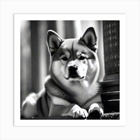 Shiba Inu 11 Art Print