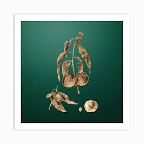 Gold Botanical Walnut Peach on Dark Spring Green n.0095 Art Print