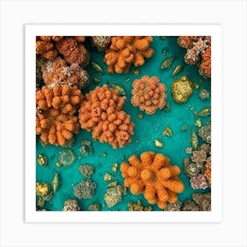 Coral Reef 22 Art Print