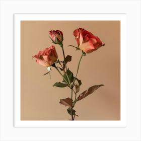 Roses 2 Art Print