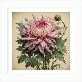 Chrysanthemum 2 Art Print