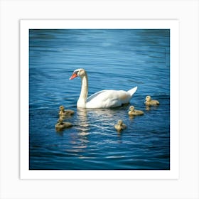 Firefly Baby Ducklings And Cygnet Swimming In Tranquil Lake 59687 (2) Art Print