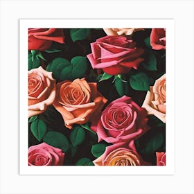 Roses 5 Art Print