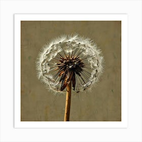 Dandelion 11 Art Print