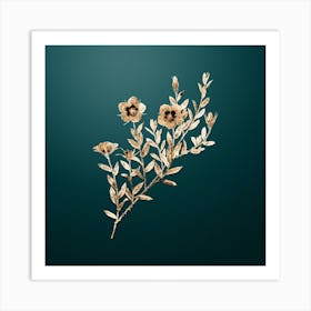 Gold Botanical Rosa Persica on Dark Teal n.1575 Art Print