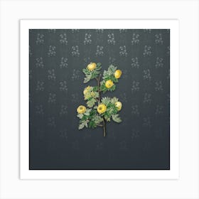 Vintage Tansy Leaf Hawthorn Flower Botanical on Slate Gray Pattern Art Print
