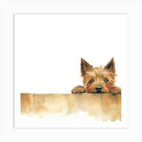 Yorkshire Terrier 20 Art Print