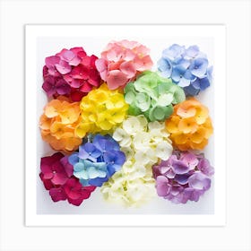 Colorful Hydrangeas 2 Art Print