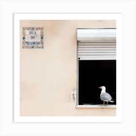 The Seagull In The Window Porto Portugal Square Art Print