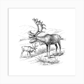 Reindeer Art Print